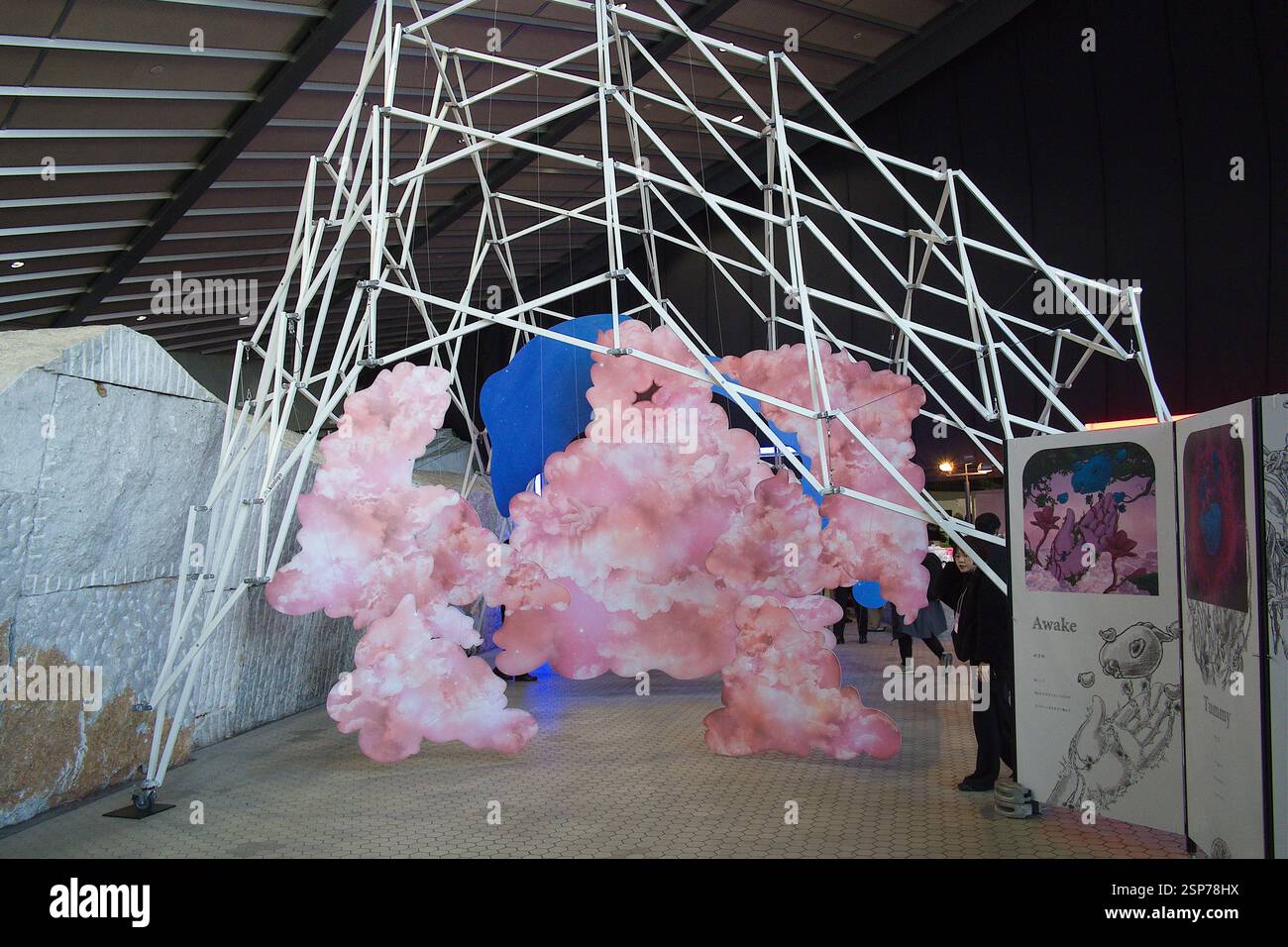 2025/02/14, Tokyo, NEW ENERGY est un festival de création de plus de 400 groupes et objets merveilleux, des choses et des personnes du Japon et du monde entier. En plus des expositions spéciales de créateurs uniques, il y aura une grande variété de contenus tels que shopping, talk-shows et spectacles artistiques. En tant que plate-forme de rencontres diverses, l'événement a attiré l'attention de nombreuses personnes de tous âges et de tous genres. Cette nouvelle énergie a lieu le 2025/02/14-16. Crédit : Michael Steinebach/AFLO/Alamy Live News Banque D'Images