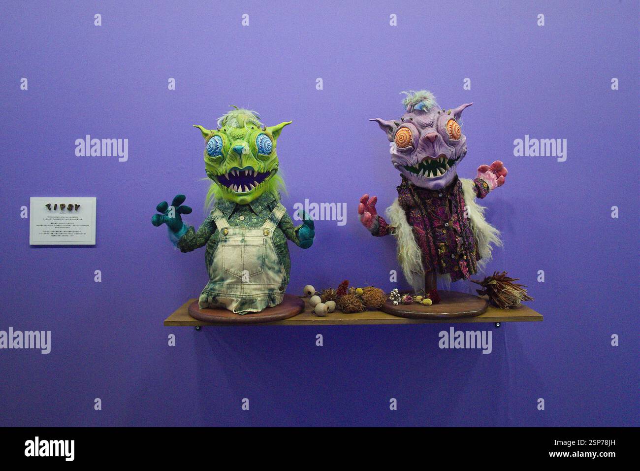 2025/02/14, Tokyo, NEW ENERGY est un festival de création de plus de 400 groupes et objets merveilleux, des choses et des personnes du Japon et du monde entier. En plus des expositions spéciales de créateurs uniques, il y aura une grande variété de contenus tels que shopping, talk-shows et spectacles artistiques. En tant que plate-forme de rencontres diverses, l'événement a attiré l'attention de nombreuses personnes de tous âges et de tous genres. Cette nouvelle énergie a lieu le 2025/02/14-16. Crédit : Michael Steinebach/AFLO/Alamy Live News Banque D'Images