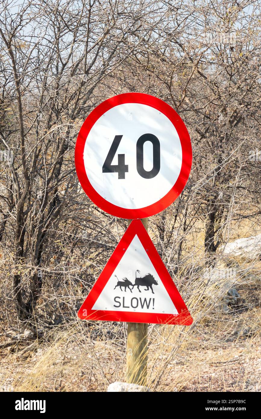 Warthogs lent, panneau routier de la faune en Namibie, Afrique Banque D'Images
