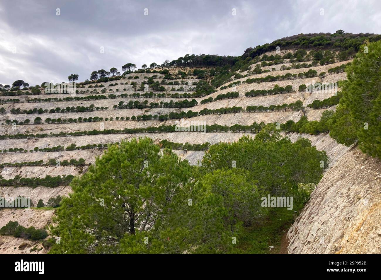 Randonnée sur le sentier le long de la mine à ciel ouvert abandonnée et arbres brûlés près de Mijas, Espagne Banque D'Images