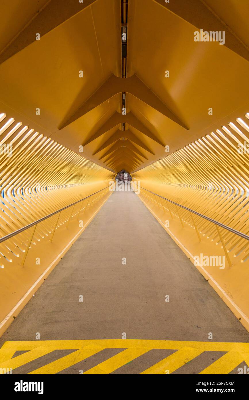 Anvers, Belgique. L'un des ponts passagers élégants menant au nouveau terminal de croisière sur l'Escaut près de Het Steen, par Ney & Partners, 2020 Banque D'Images