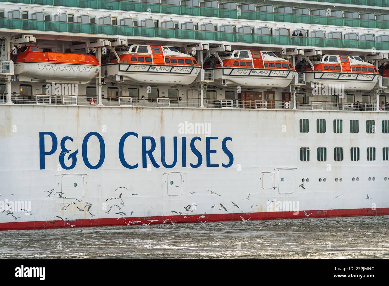 Amsterdam, pays-Bas, 08.02.2025, P and O Cruises signe un navire de croisière, une ligne de croisière britannique basée à Southampton Banque D'Images