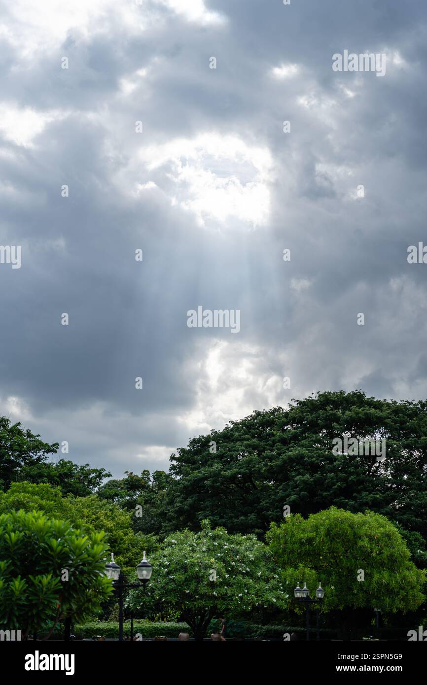 Ciel spectaculaire avec rayons de soleil sur des arbres verts luxuriants : un moment de sérénité et de beauté naturelle Banque D'Images