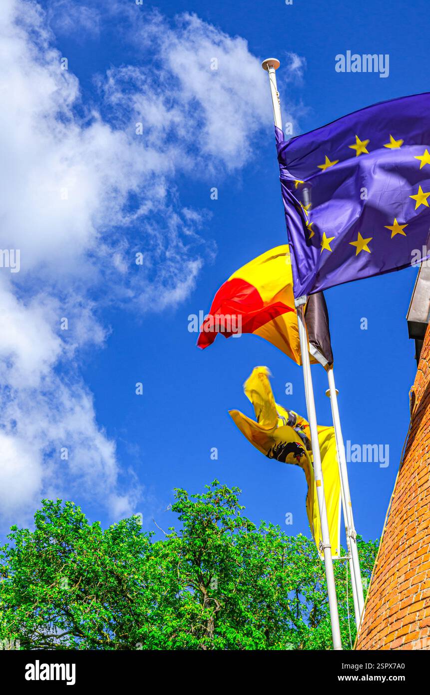 Drapeau de Flandre Vlaamse Leeuw Lion flamand ou leeuwenvlag Lion drapeau de Vlaanderen Communauté flamande et région flamande, drapeau de Belgique, Europe ou Europ Banque D'Images