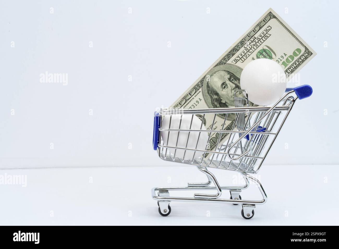 Plan horizontal d'un petit panier avec deux œufs et un billet de cent dollars dans le panier. Banque D'Images