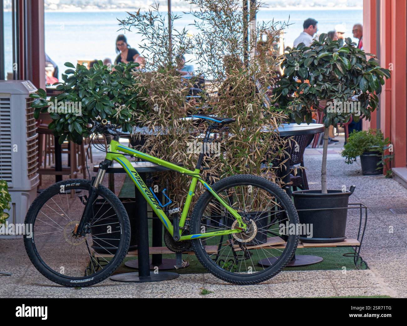 KATAKOLO, GRÈCE - 27 octobre 2024 : vélo vert à Katakolo Grèce Banque D'Images