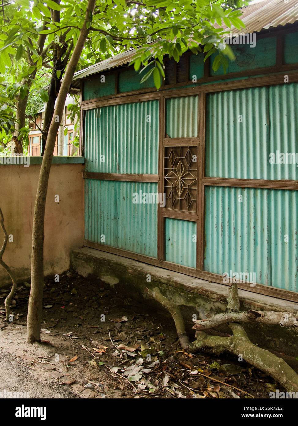 Cette propriété traditionnelle de la campagne bangladaise présente une architecture vernaculaire avec des murs en tôle ondulée, des cadres en bois et une végétation luxuriante. Banque D'Images
