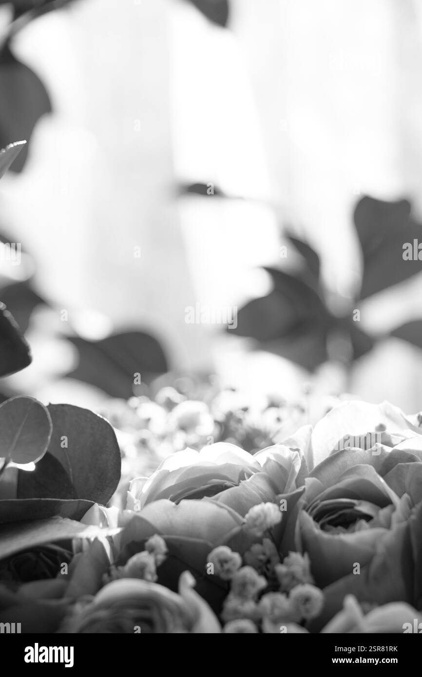 Bouquet de roses de brousse comme fond noir et blanc photo, arrangement floral, bouquet festif Banque D'Images