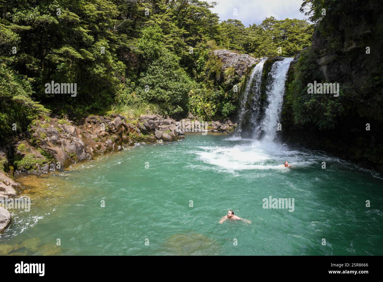 Tongariro N.P., Nouvelle-Zélande - 23 janvier 2025 : vue à Tawhai Falls (Gollum's Pool) sur le parc national de Tongariro en Nouvelle-Zélande Banque D'Images