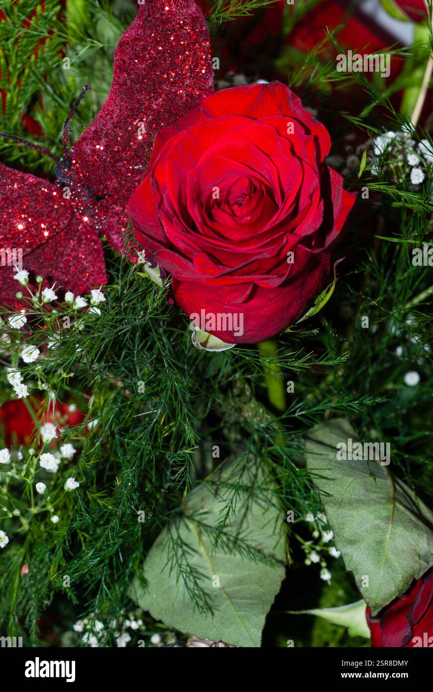 Bouquet de roses rouges, Sant Jordi, Catalogne, Espagne Banque D'Images