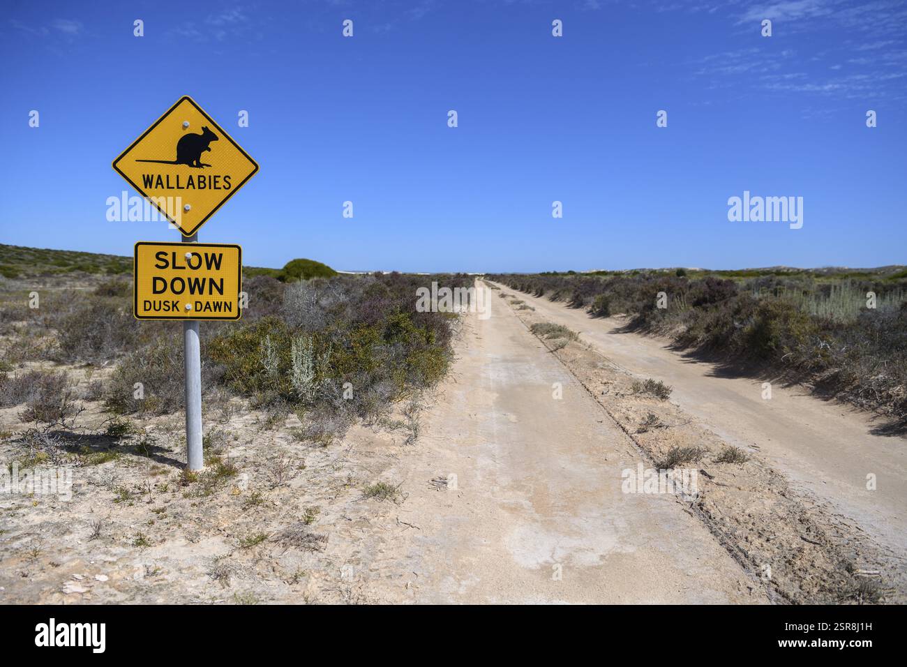 Méfiez-vous du signe wallabies, Dirk Hartog Island National Park, nommé d'après le navigateur néerlandais du même nom, Dirk Hartog Island, Shire of Shark Bay, Banque D'Images