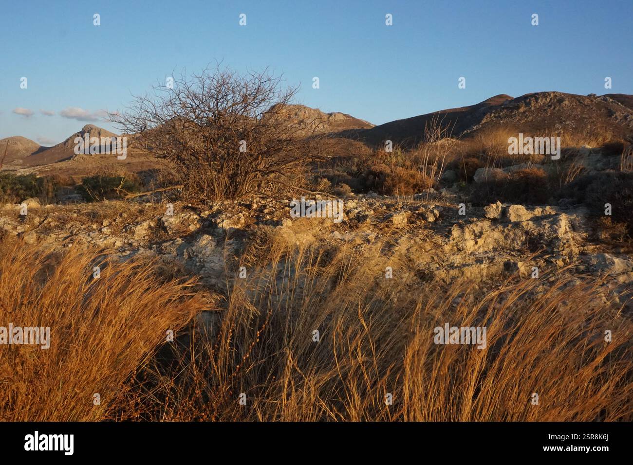 Paysage naturel de la Crète avec une vue depuis la route avec des couleurs de terre dorée - en arrière-plan, des pics rocheux ombragés s'élèvent sous un ciel bleu clair Banque D'Images Paysage naturel de la Crète avec une vue depuis la route avec des couleurs de terre dorée - en arrière-plan, des pics rocheux ombragés s'élèvent sous un ciel bleu clair Banque D'Images