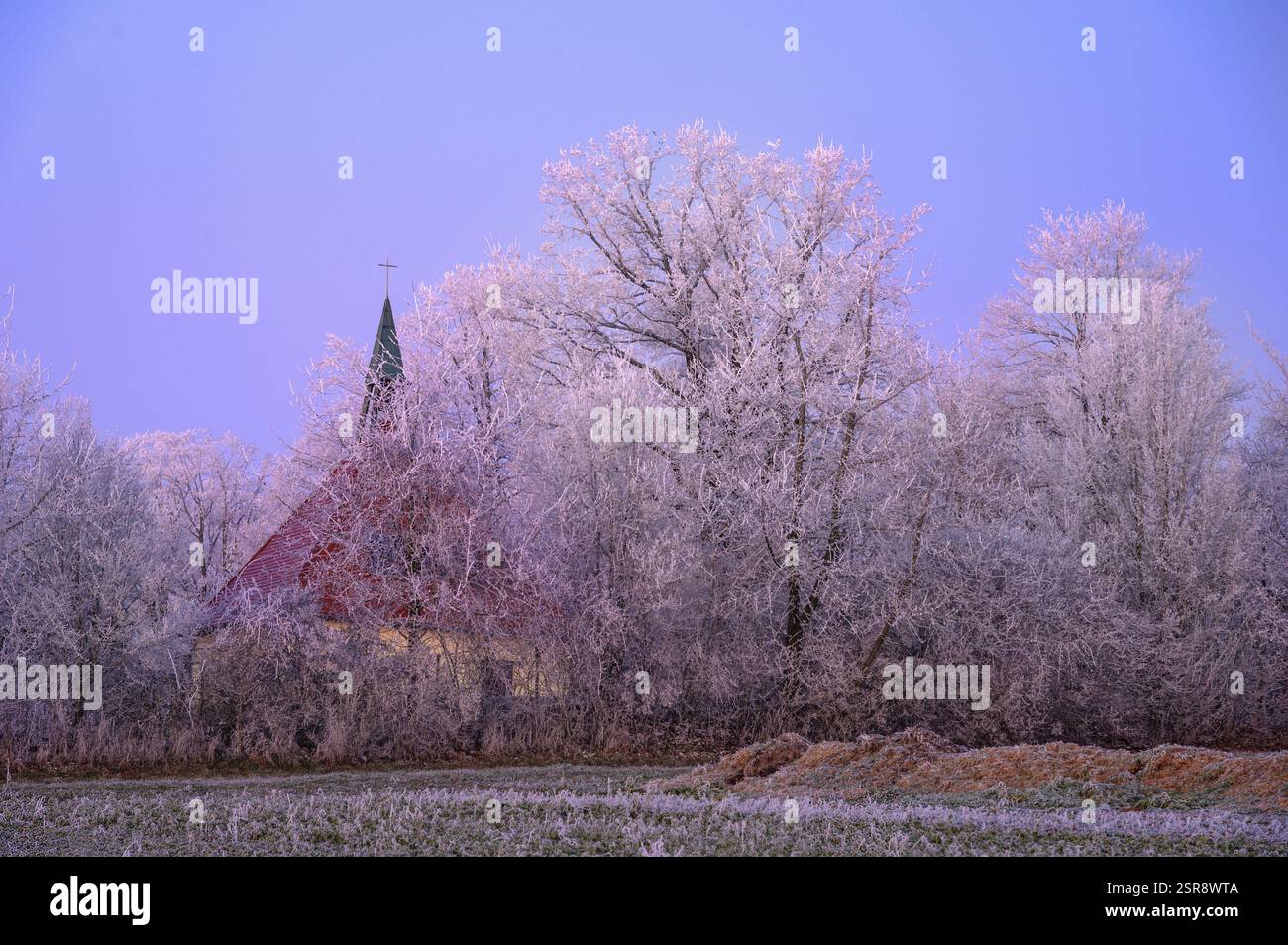 Chapelle dans la forêt avec Hoarfrost dans la lumière du soir, Eckental, moyenne Franconie, Bavière, Allemagne, Europe Banque D'Images