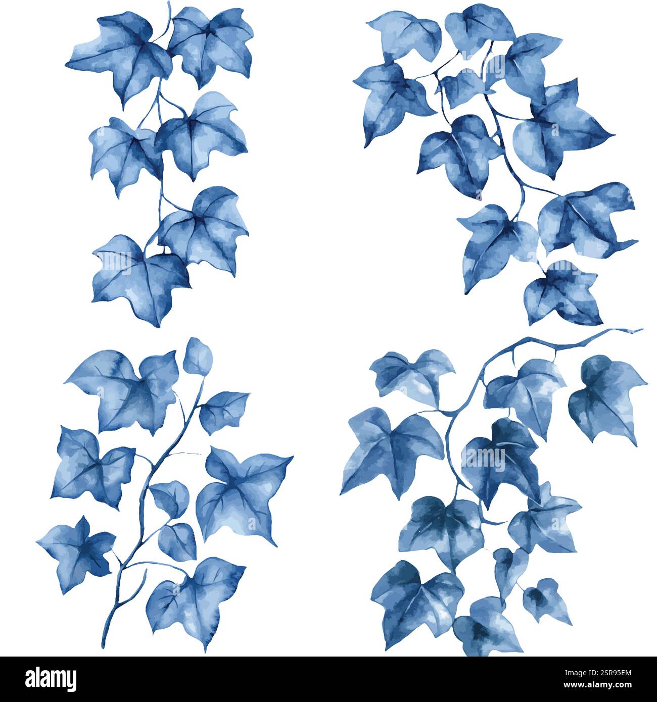 Une illustration d'aquarelle dessinée à la main de Vine Hand Drawn Set Collection qui a été tracée par image et vectorisée. L'illustration est parfaite pour n'importe quel design Illustration de Vecteur