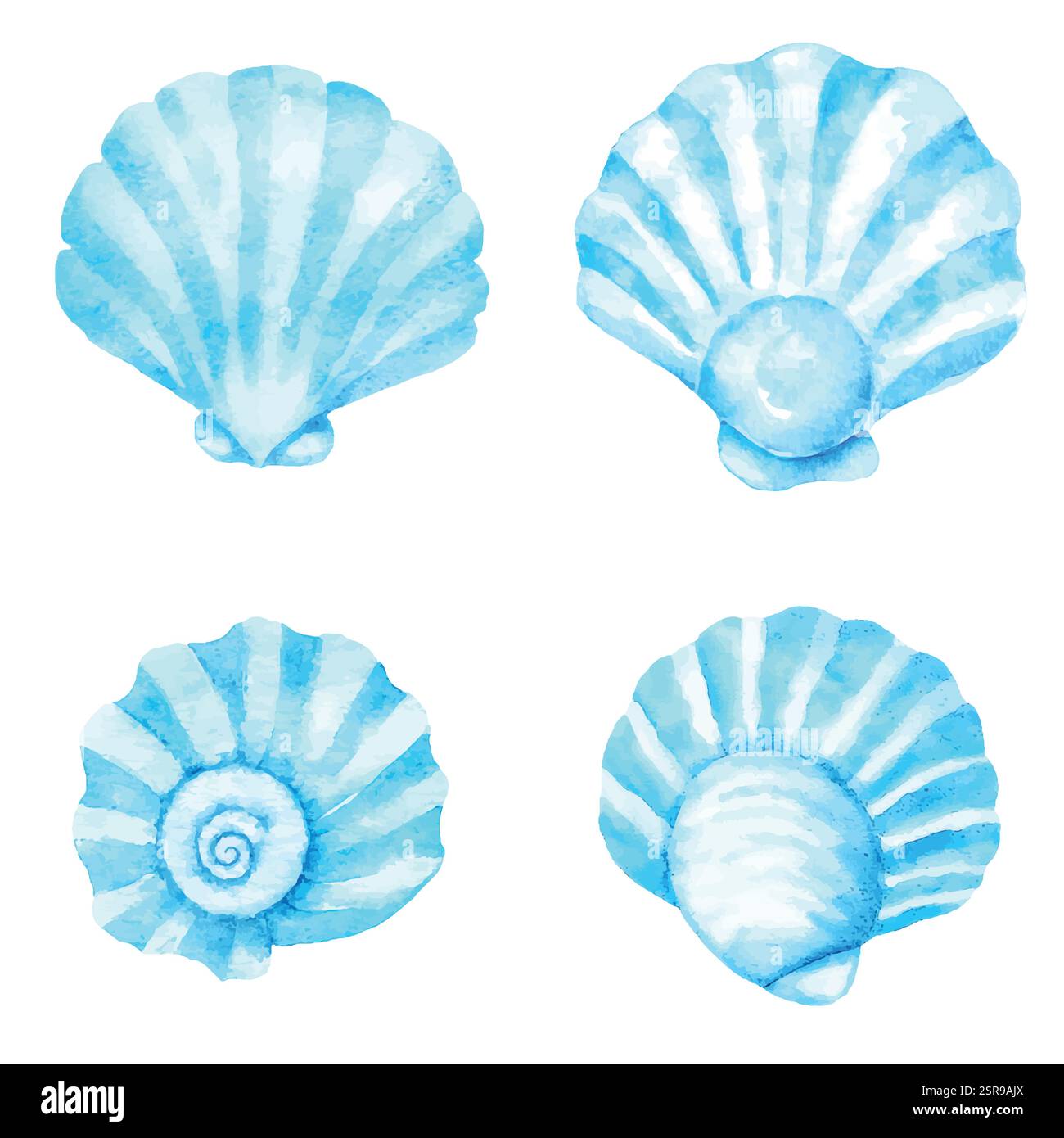 Une illustration à l'aquarelle dessinée à la main de Seashell ensemble dessiné à la main qui a été tracé par image et vectorisé. L'illustration est parfaite pour tout projet de design Illustration de Vecteur