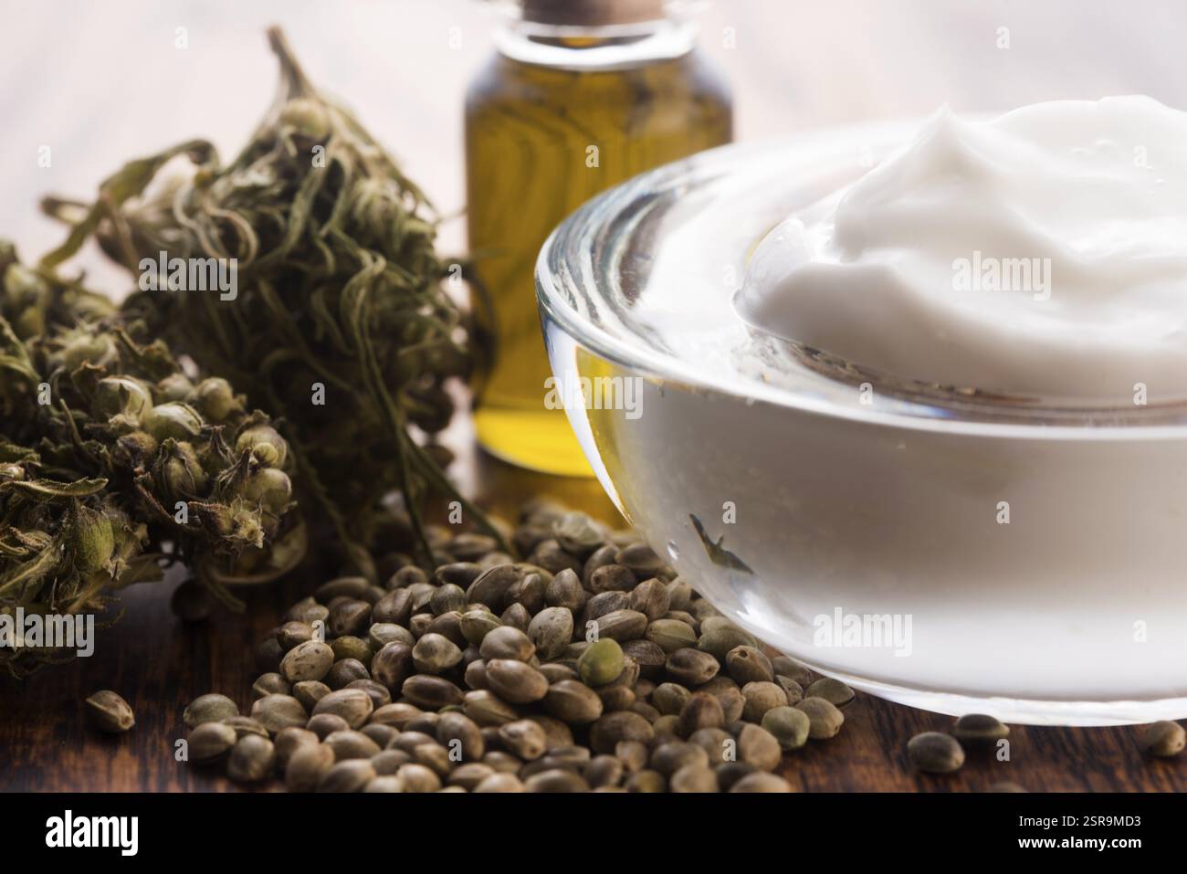 Produit naturel de l'oinment de cannabis. Crème cosmétique à base de chanvre naturel, lotion hydratante à base de contenu CBD Banque D'Images