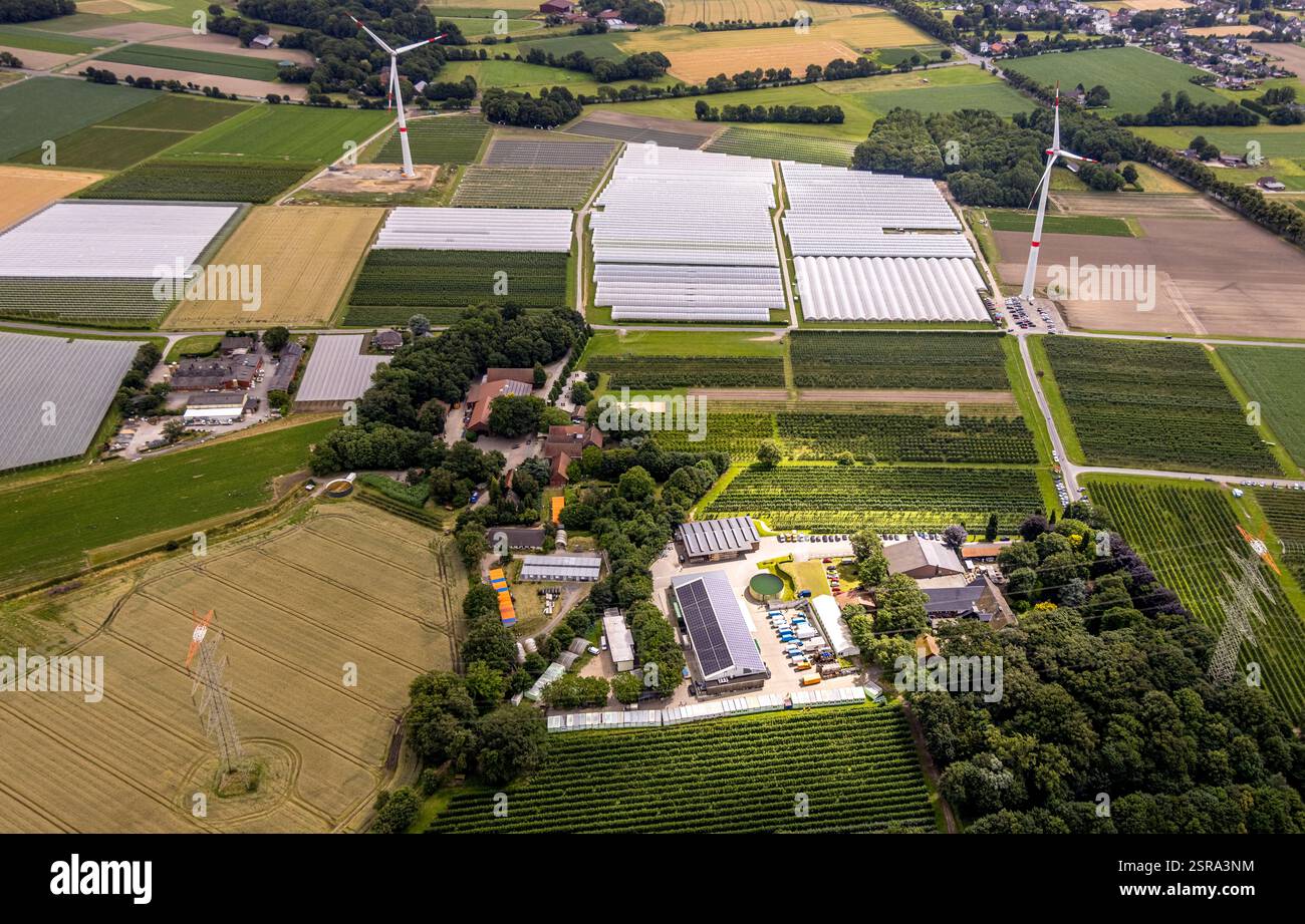 Vue aérienne, ferme Schmücker Hof, culture de plantation, ferme Umberg et serres, Kirchhellen-Nord-Ost, Bottrop, région de la Ruhr, Rhénanie du Nord-Westphalie, Banque D'Images