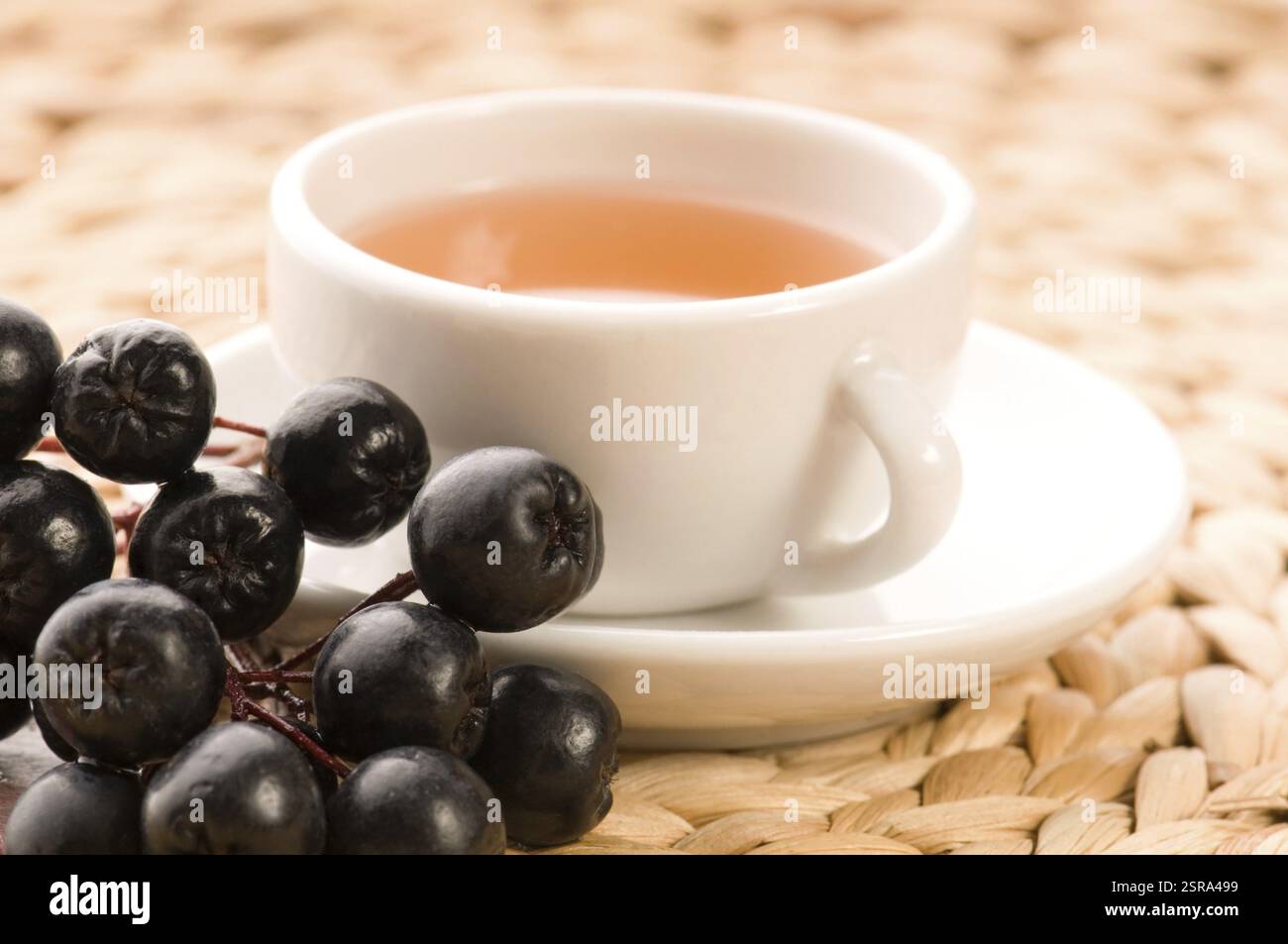 Thé noir chokeberry, pologne Banque D'Images