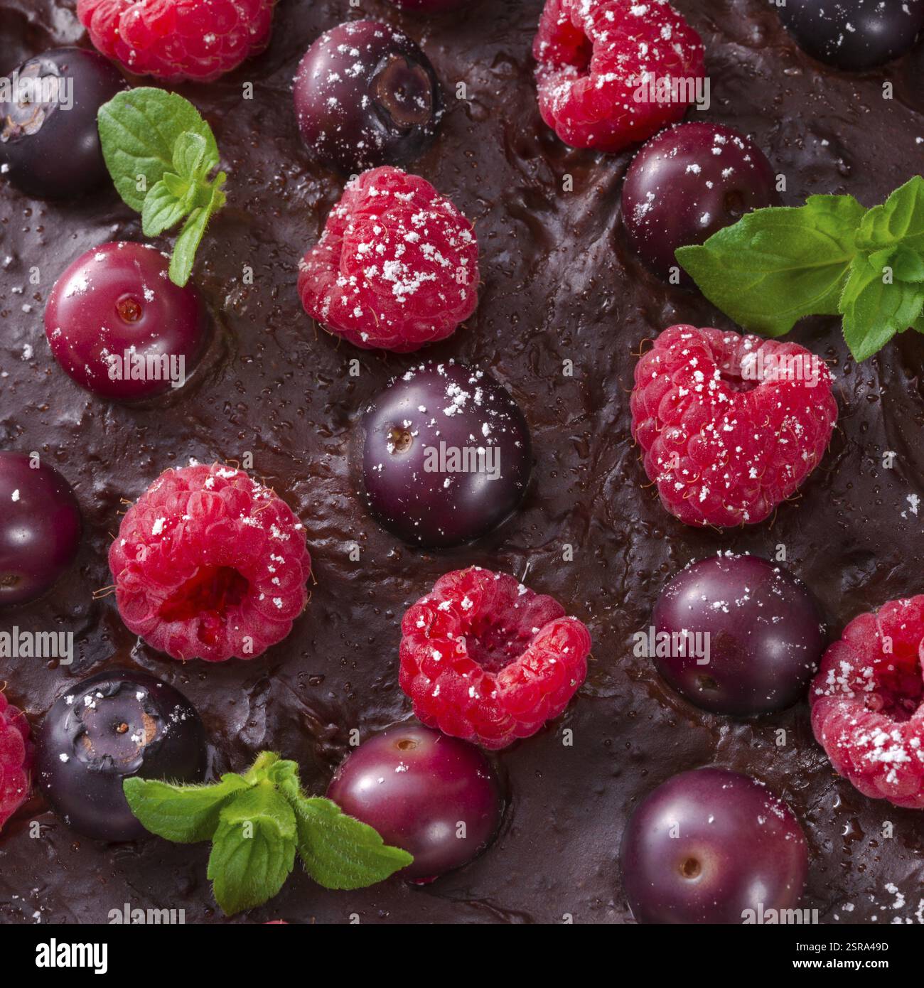 Tartelette au chocolat aux fruits de la forêt Banque D'Images