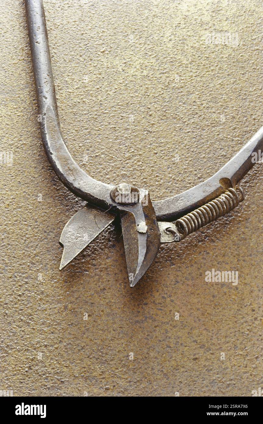 Ingénierie de coupe d'orfèvre Banque D'Images