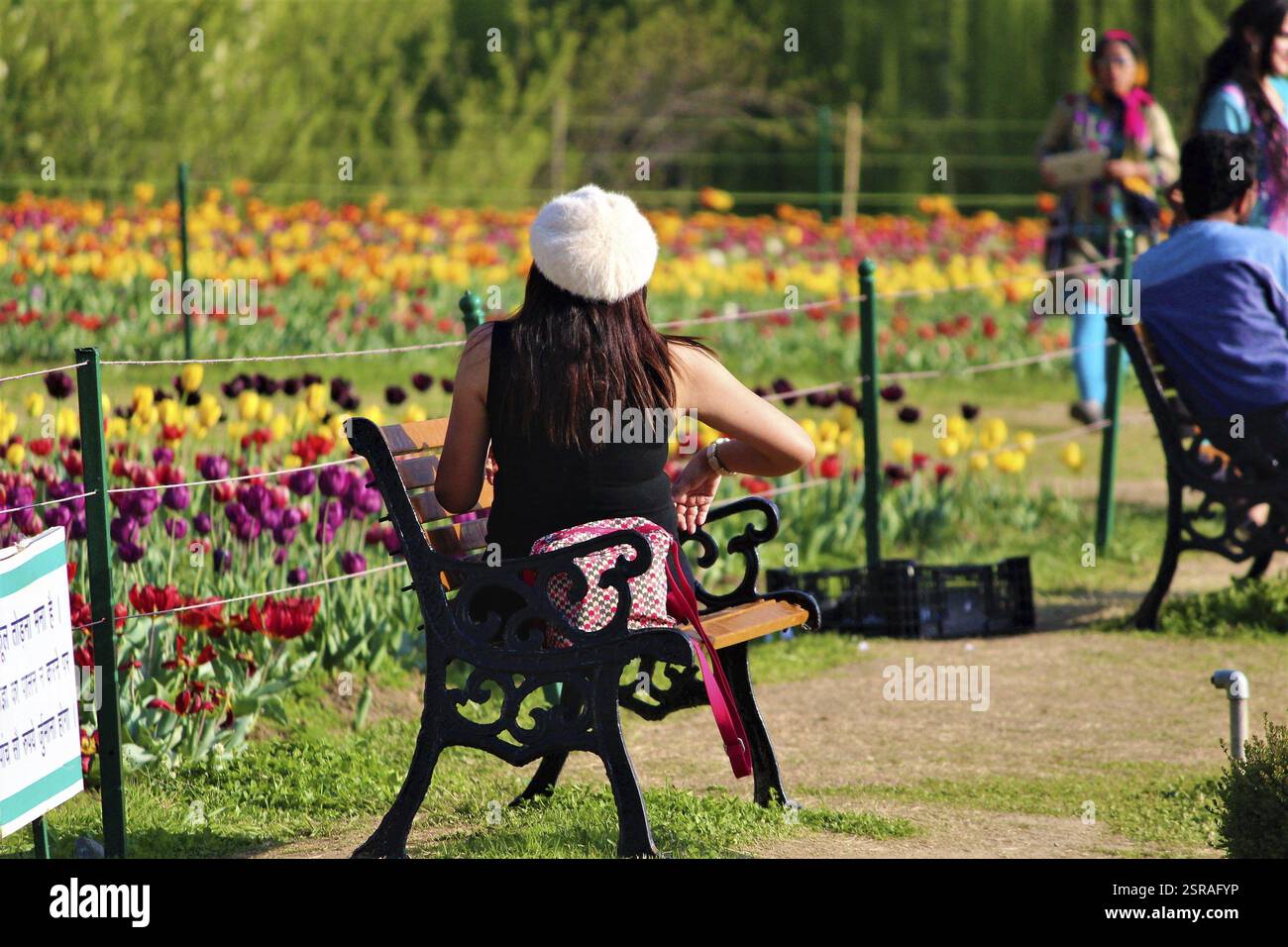 Femme assise sur le banc Indira Gandhi Memorial Tulip Garden, Cachemire, Inde, Asie Banque D'Images