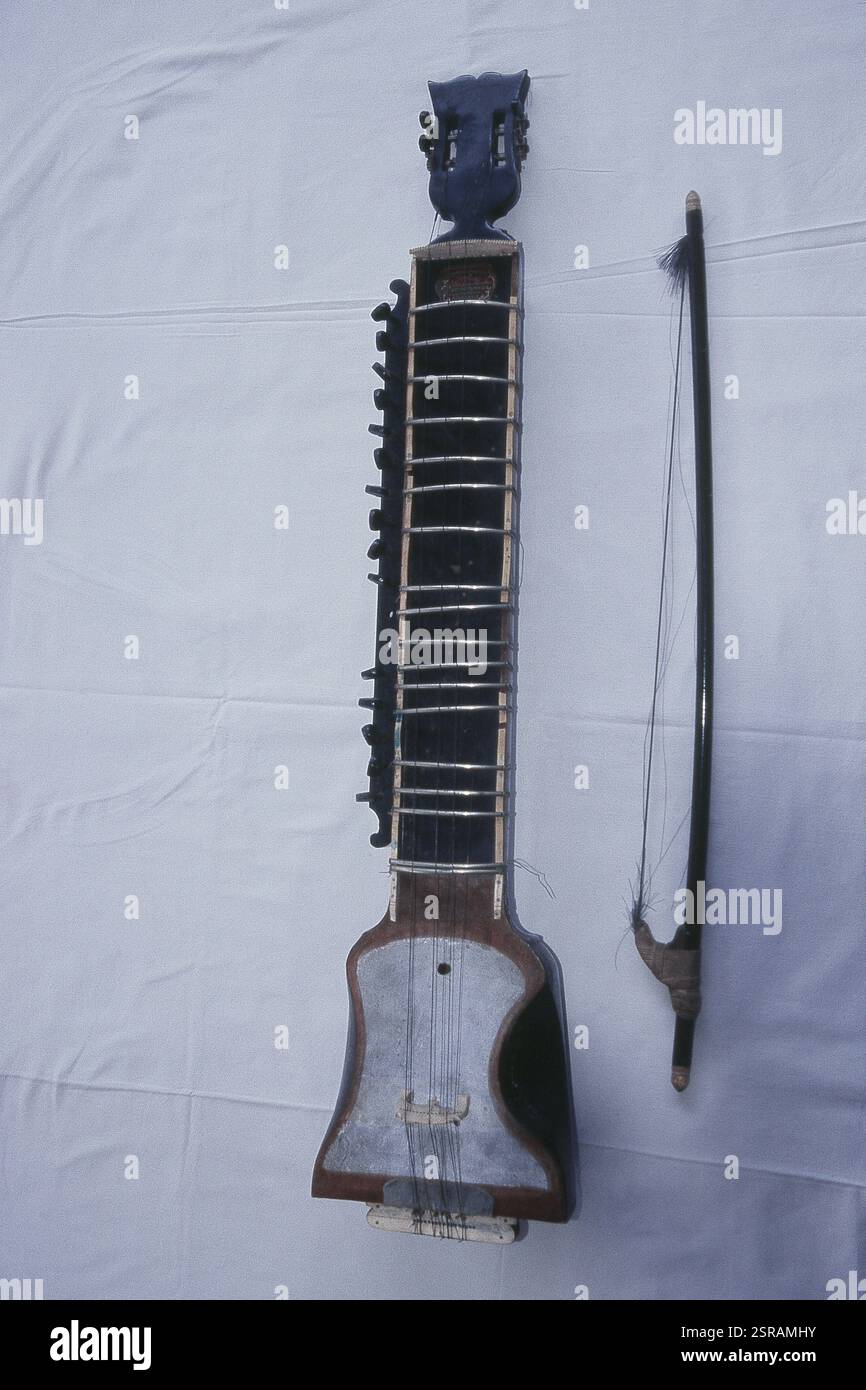 Gros plan de dilruba instrument de musique indien, Inde, Asie Banque D'Images