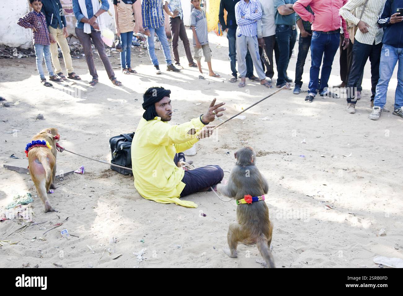 Madari faisant Monkey show, mela pushkar, Rajasthan, Inde, Asie Banque D'Images