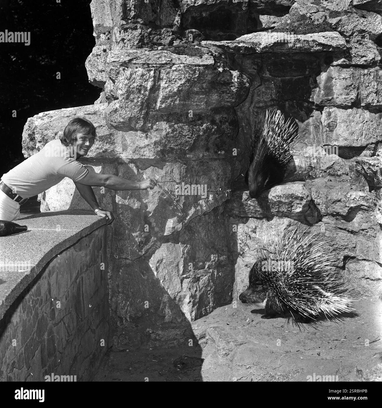 Der deutsche Schlagersänger, Komponist und Texter Peter Albert BEI einem Ausflug in den Tierpark Ost-Berlin-Lichtenberg, DDR 1975. Banque D'Images