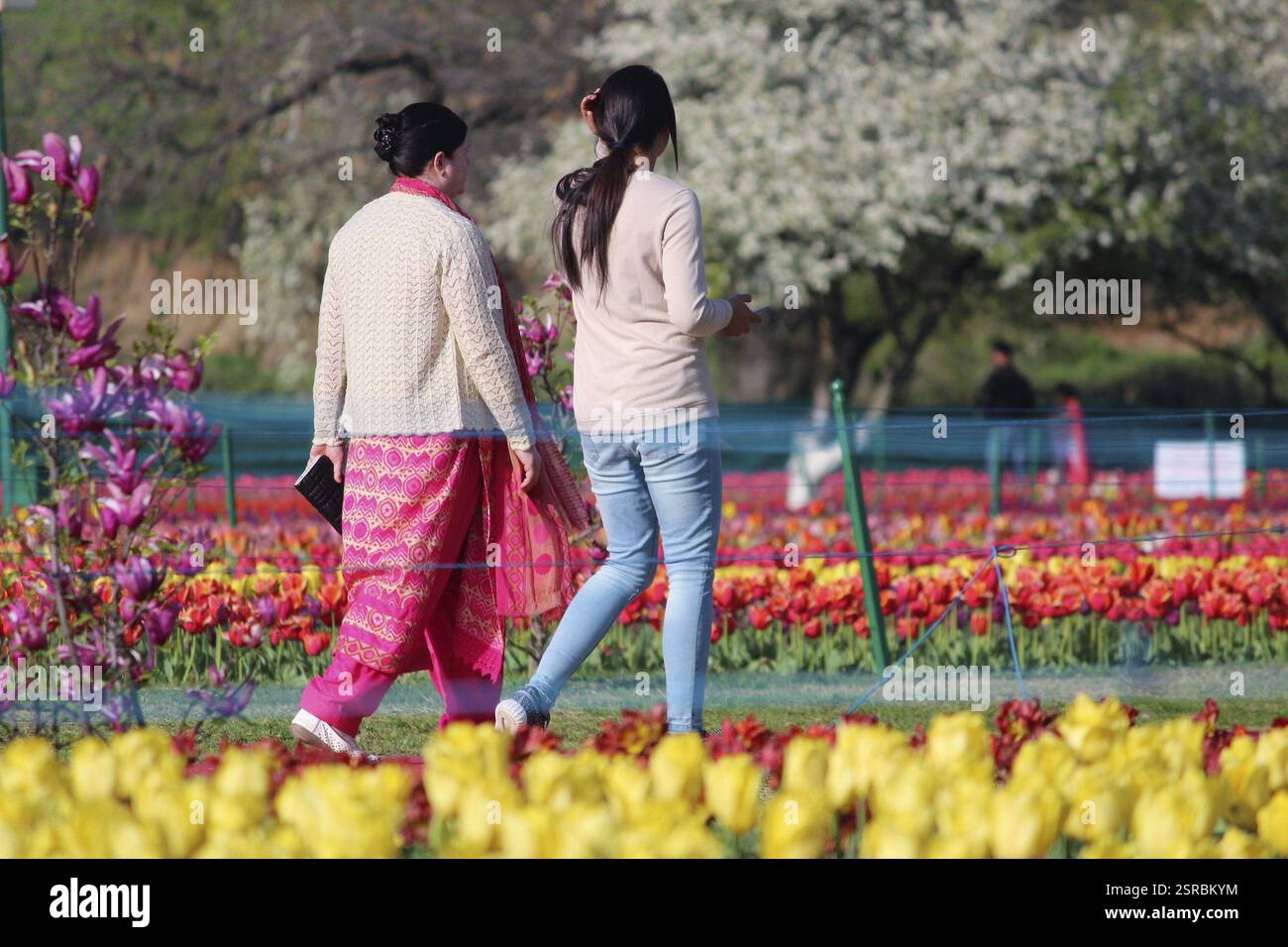 Touristes à Indira Gandhi Memorial Tulip Garden, Cachemire, Inde, Asie Banque D'Images