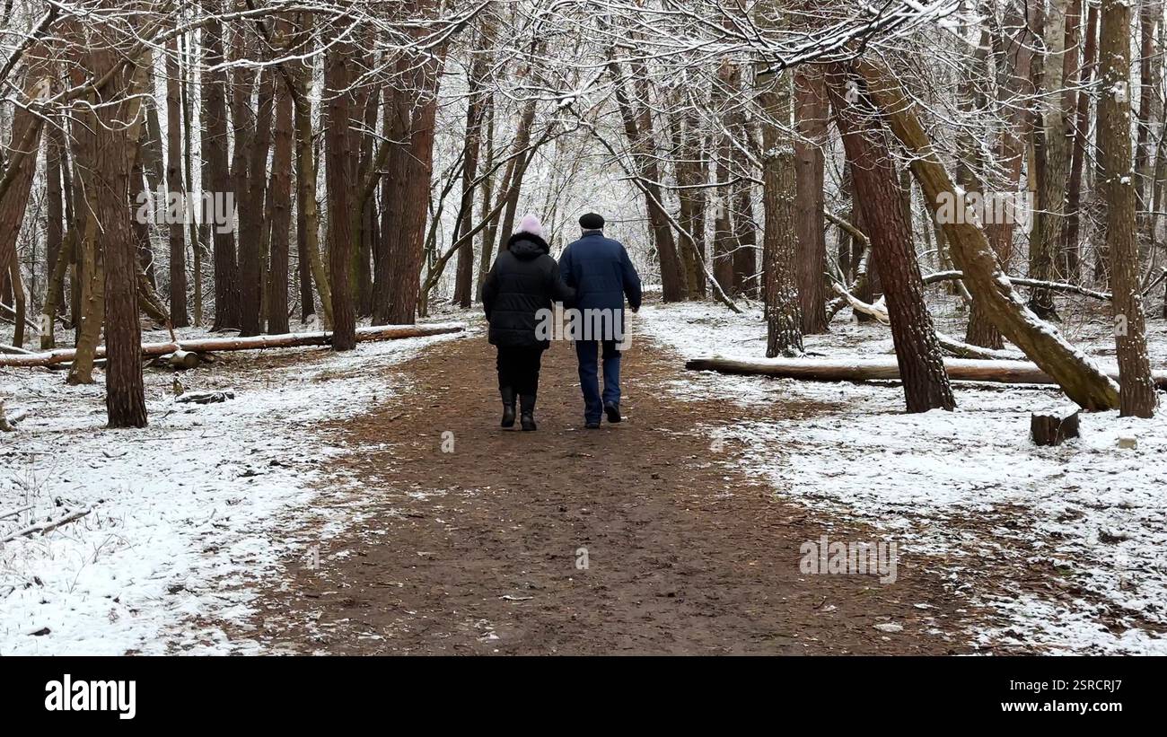 Couple mûr allant sur le chemin enneigé à la forêt de pins d'hiver. Mari senior et femme marchant à travers le sentier dans la forêt de conifères. Ancienne paire de Banque D'Images