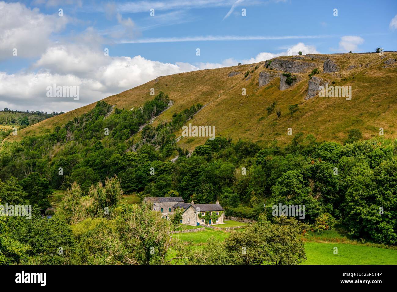 Scène de campagne tranquille avec des chalets en pierre, des forêts verdoyantes et des collines calcaires à Monsal Dale - Une scène typiquement britannique Banque D'Images