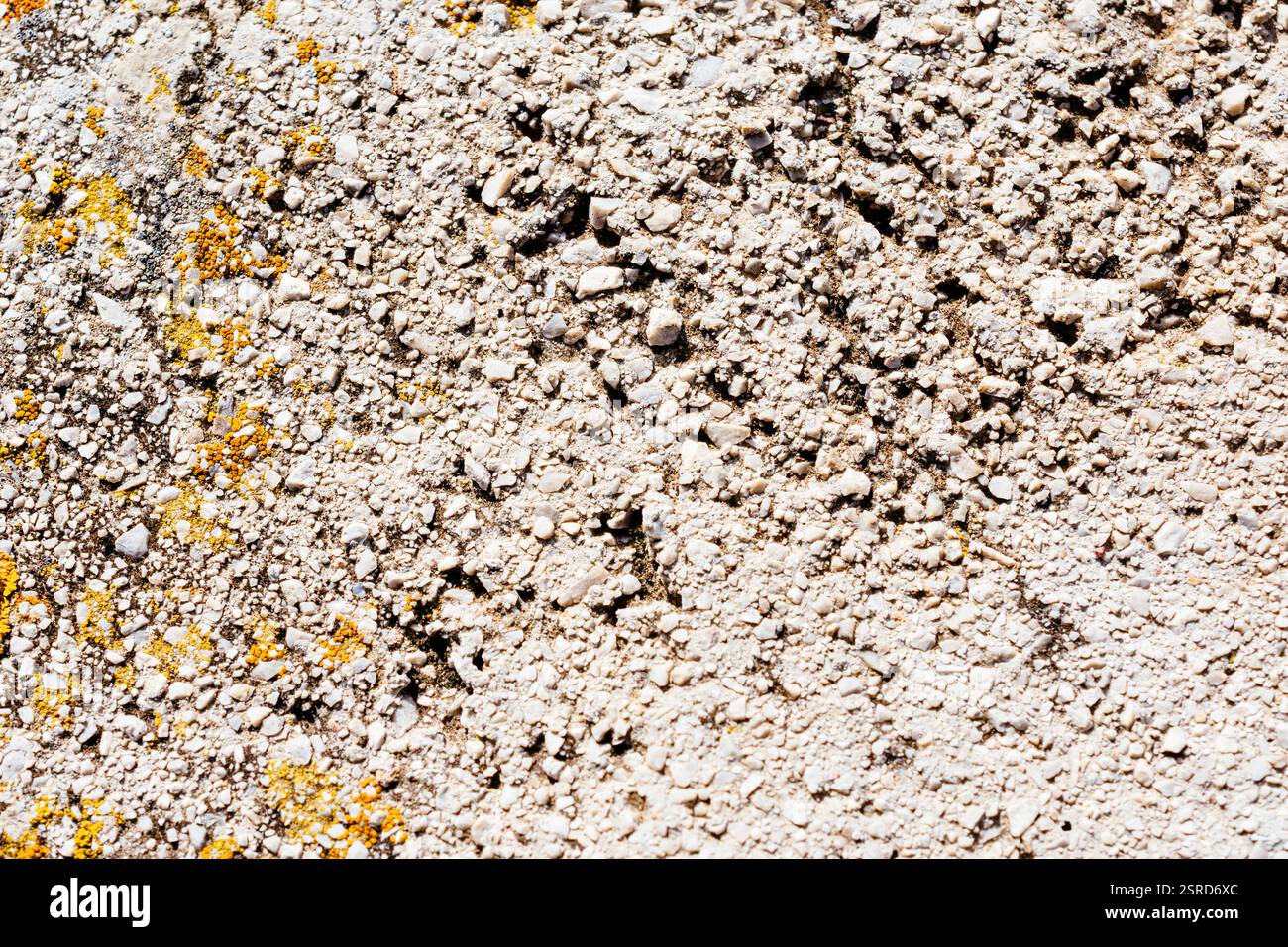 Petits cailloux noyés dans du béton avec des lichens jaunes. Andalucía, Espagne, Europe Banque D'Images