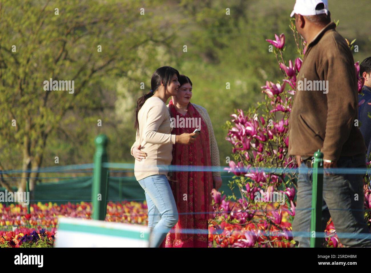 Touristes à Indira Gandhi Memorial Tulip Garden, Cachemire, Inde, Asie Banque D'Images
