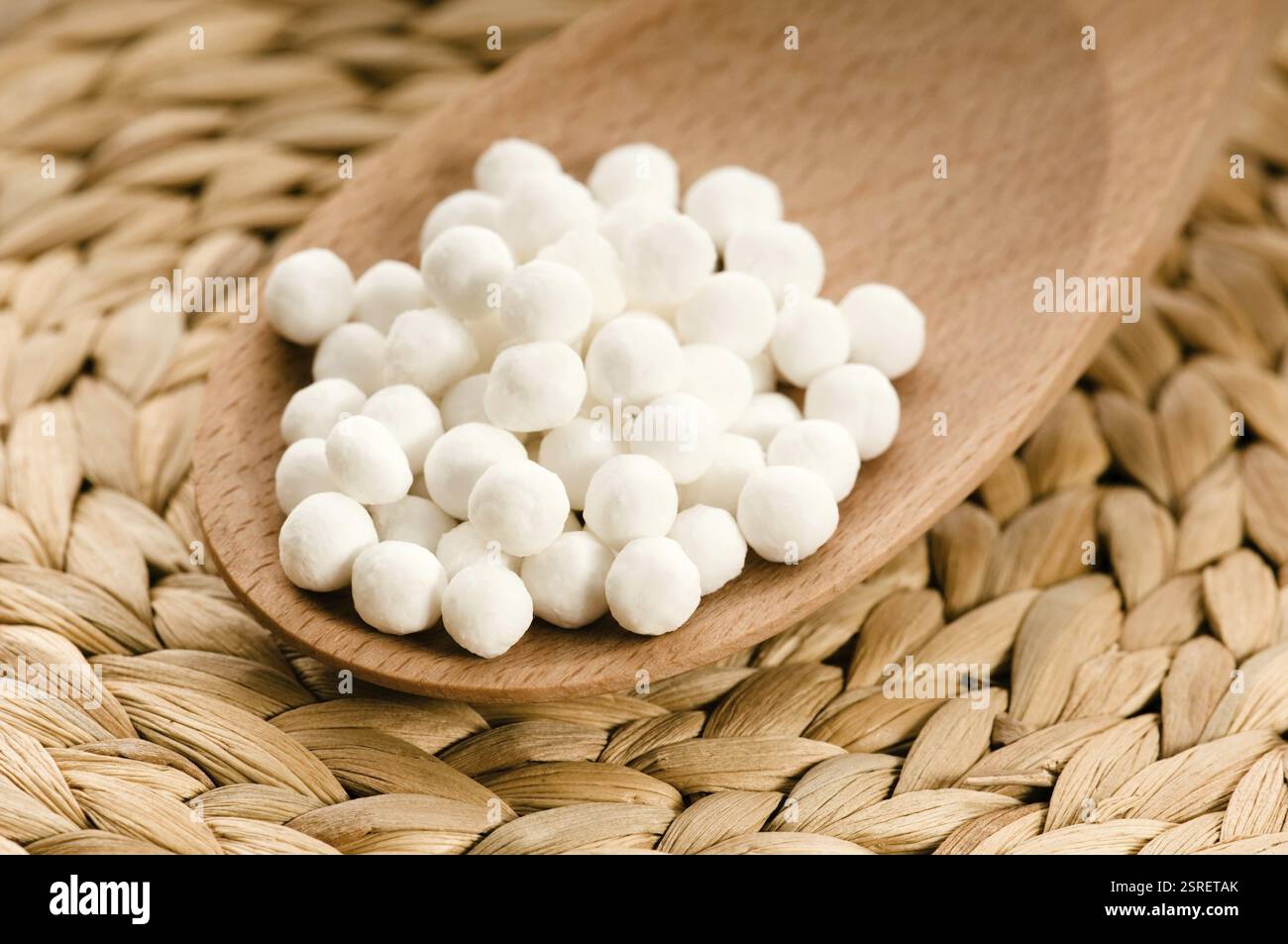 Tapioca plants Banque de photographies et d’images à haute résolution ...