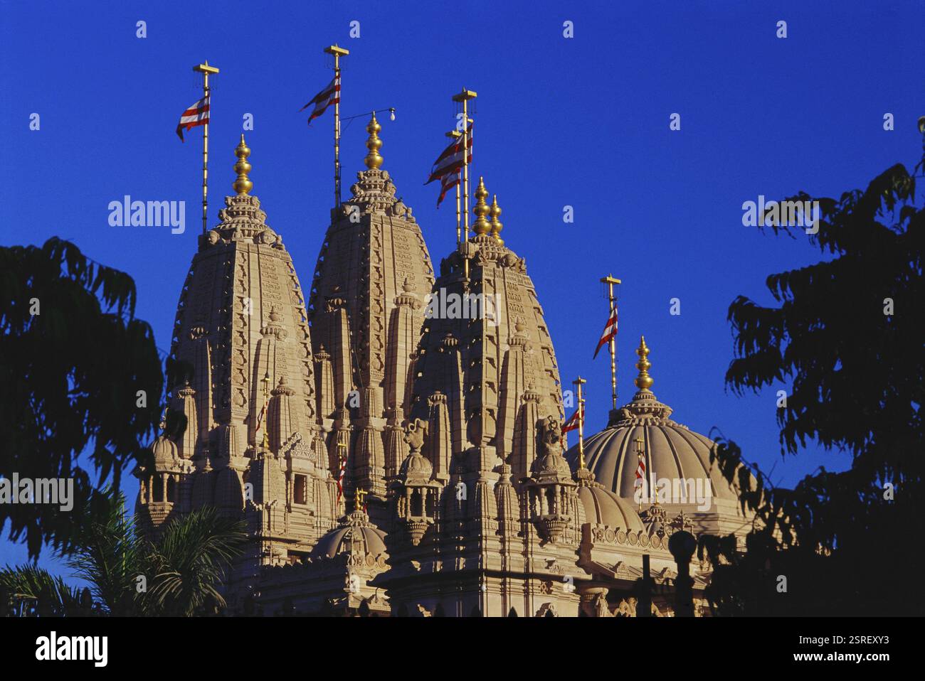 Temple Swaminarayan, Rajkot, Gujarat, Inde, Asie Banque D'Images