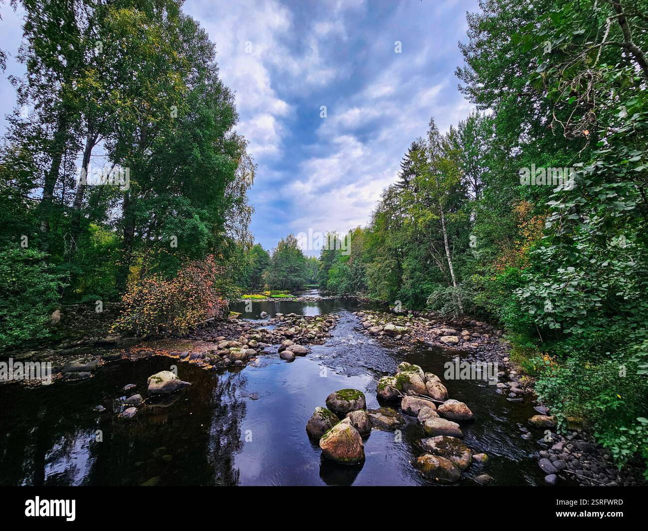 Beau paysage fluvial avec des arbres et ciel nuageux - Image de stock capturée avec un smartphone