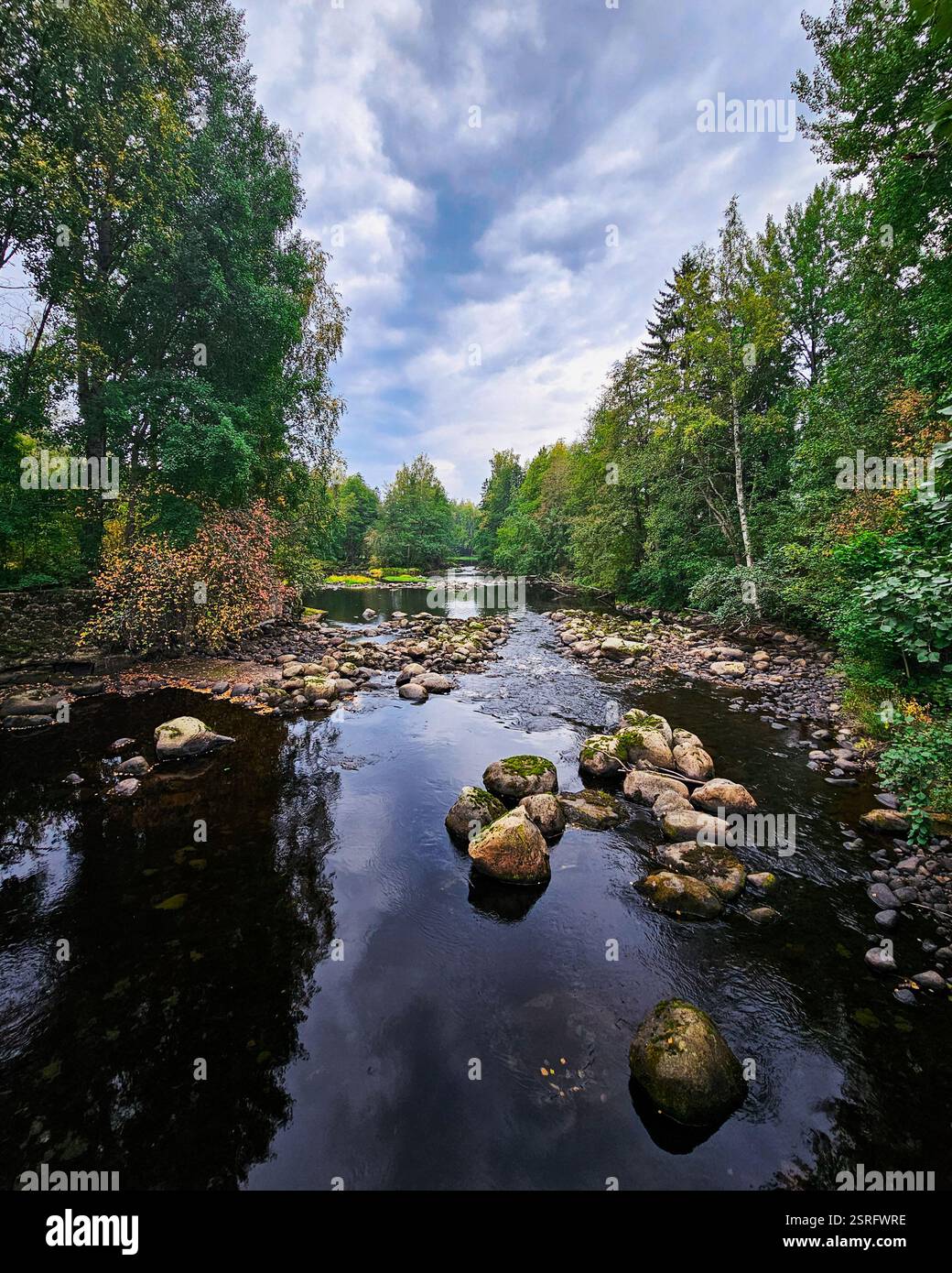 Beau paysage fluvial avec des arbres et ciel nuageux - Image de stock capturée avec un smartphone