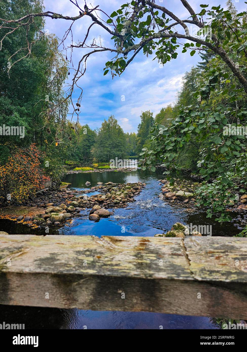 Beau paysage fluvial avec des arbres et ciel nuageux - Image de stock capturée avec un smartphone