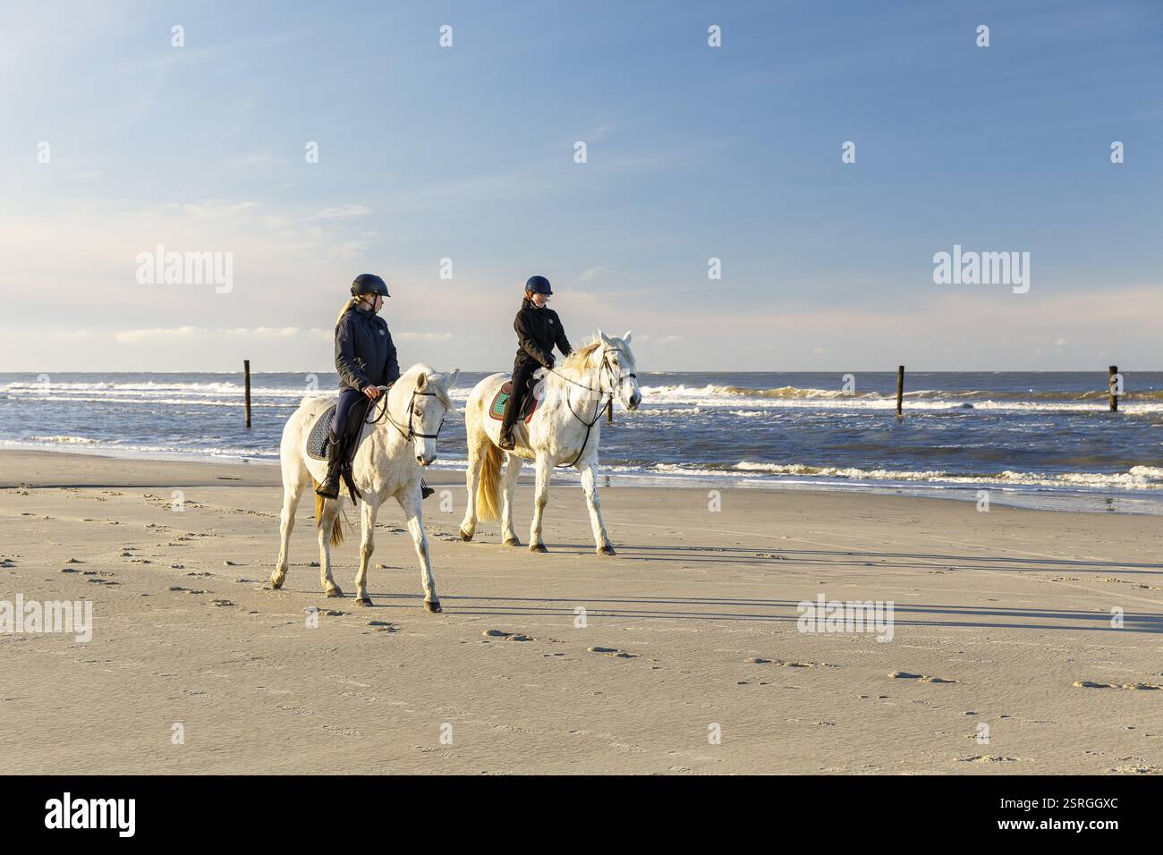 2 cavaliers sur un cheval gris sur la plage nord de Norderney, basse-Saxe, Allemagne, Europe Banque D'Images