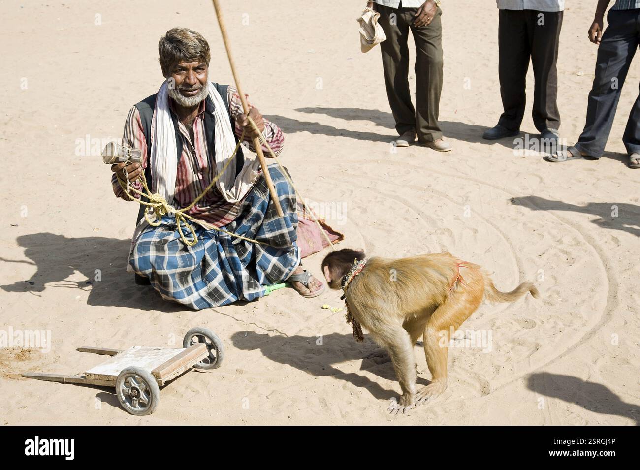 Madari faisant Monkey show, mela pushkar, Rajasthan, Inde, Asie Banque D'Images