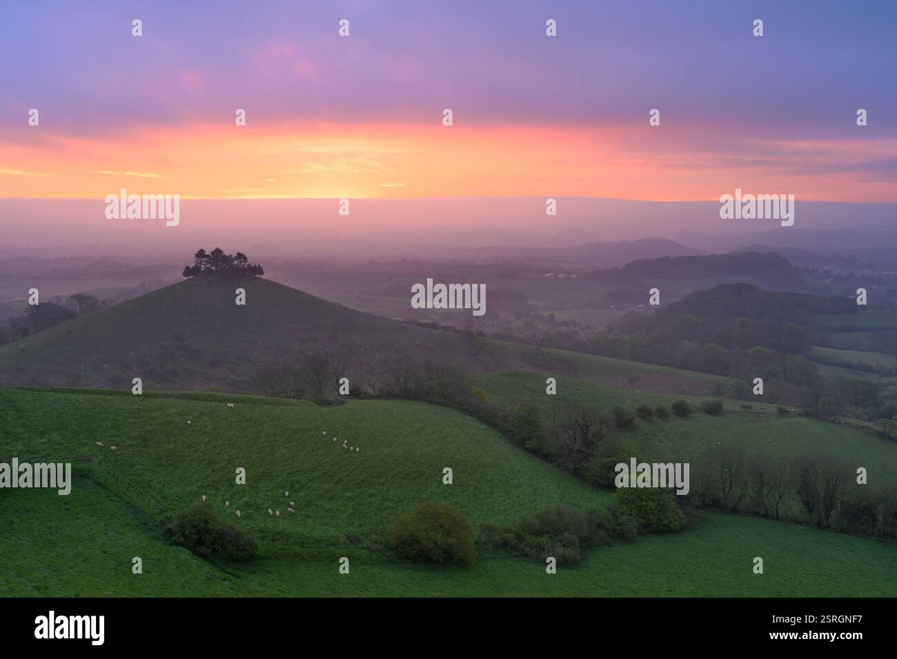 Lever de soleil vibrant à Colmers Hill dans la belle campagne du Dorset par un matin de printemps calme. Angleterre, Royaume-Uni. Banque D'Images
