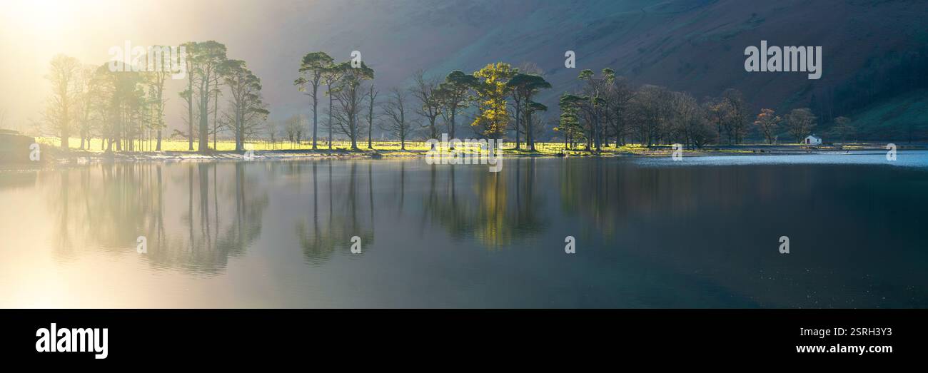 Reflets de pin Buttermere dans l'eau avec la lumière dorée du soleil du matin. Lake District, Royaume-Uni. Banque D'Images