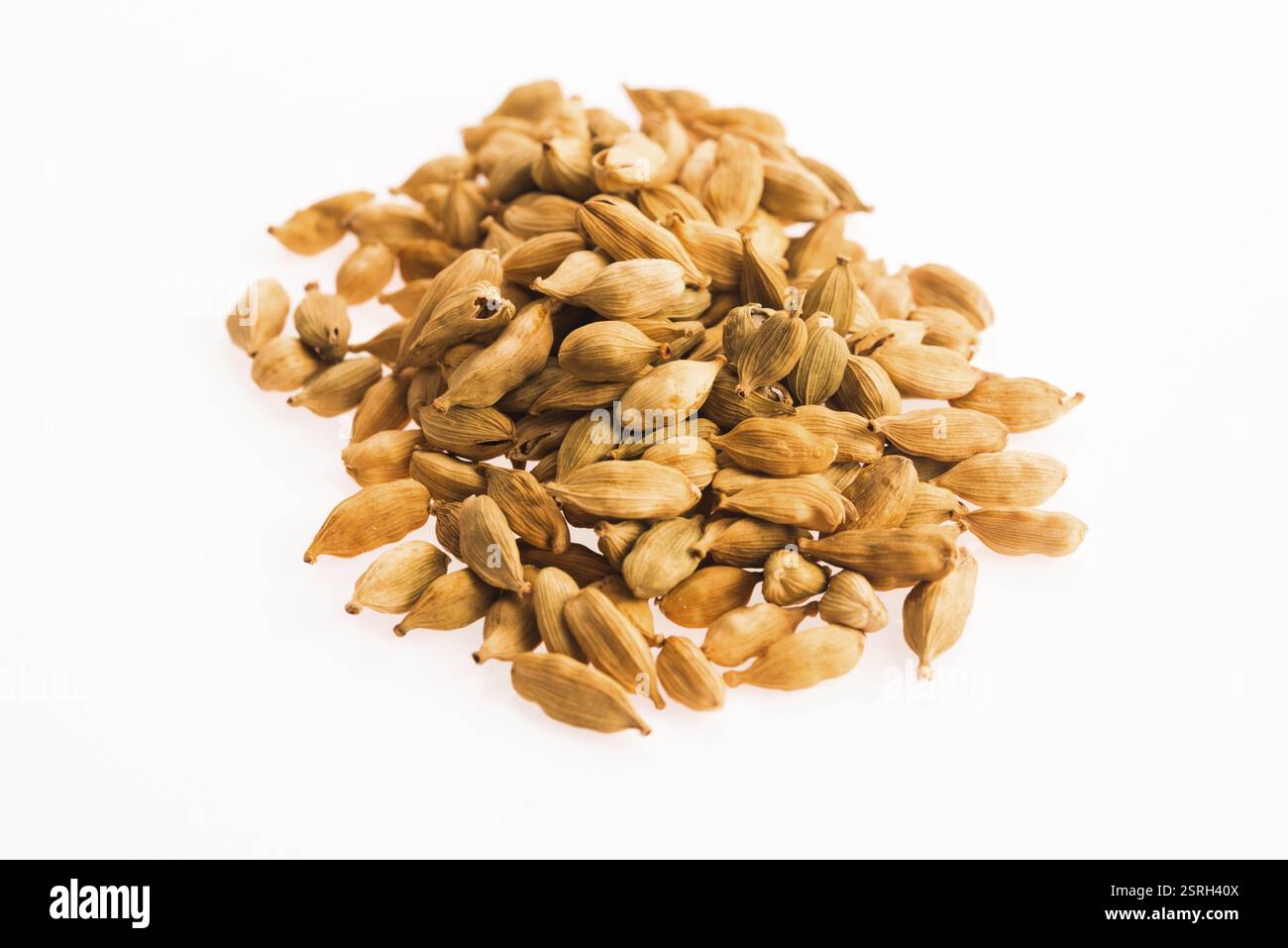 Gousses de cardamome sur fond blanc Banque D'Images
