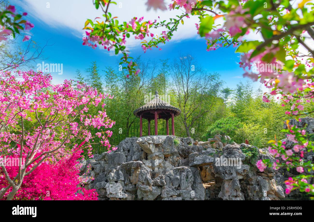 Paysage de jardin classique de Guyi Garden à Shanghai, Chine Banque D'Images