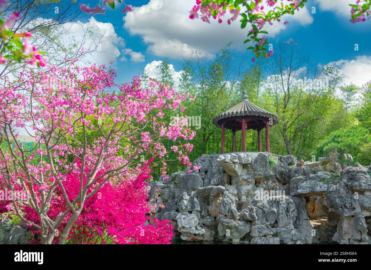 Paysage de jardin classique de Guyi Garden à Shanghai, Chine Banque D'Images