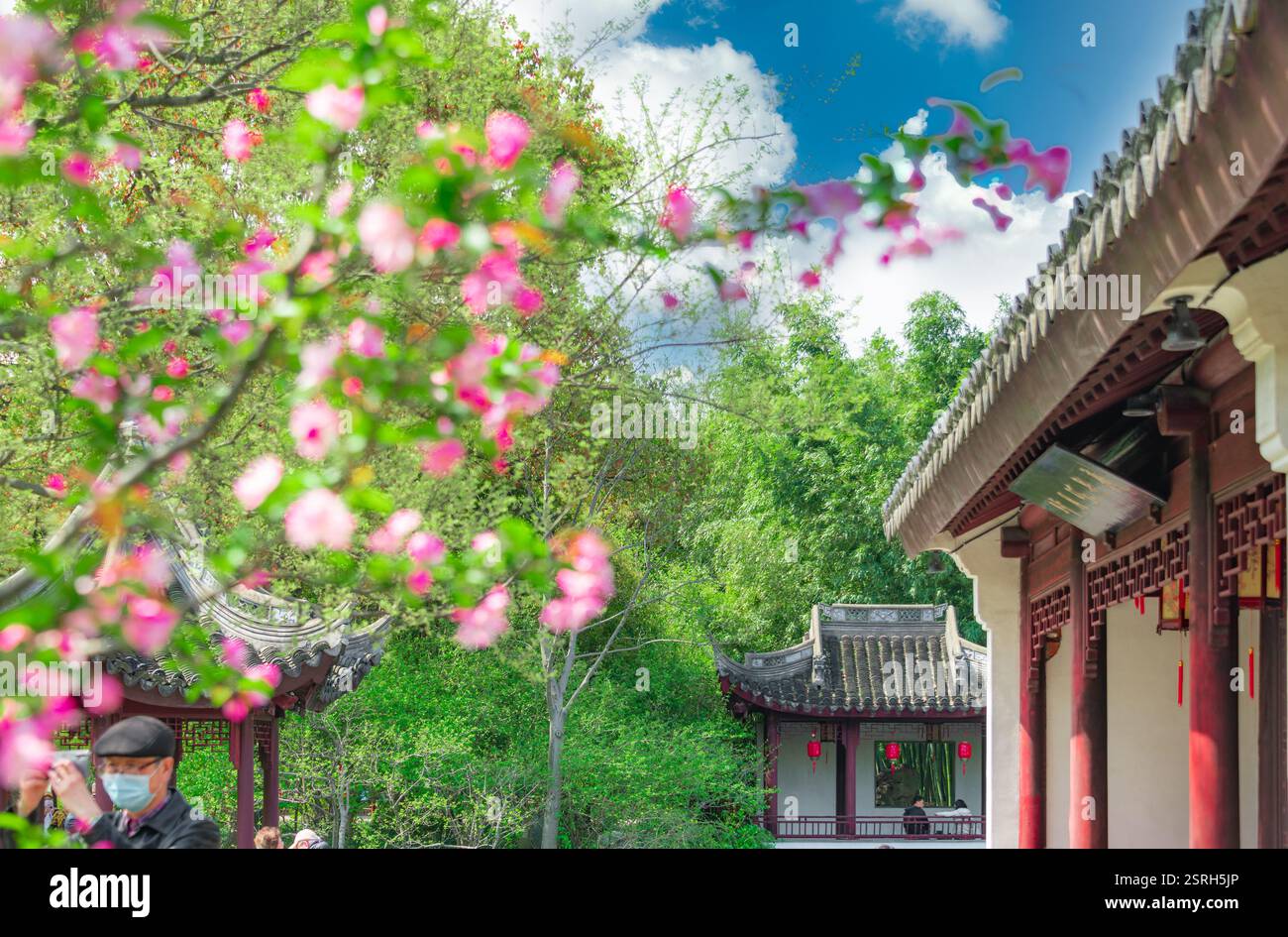 Paysage de jardin classique de Guyi Garden à Shanghai, Chine Banque D'Images