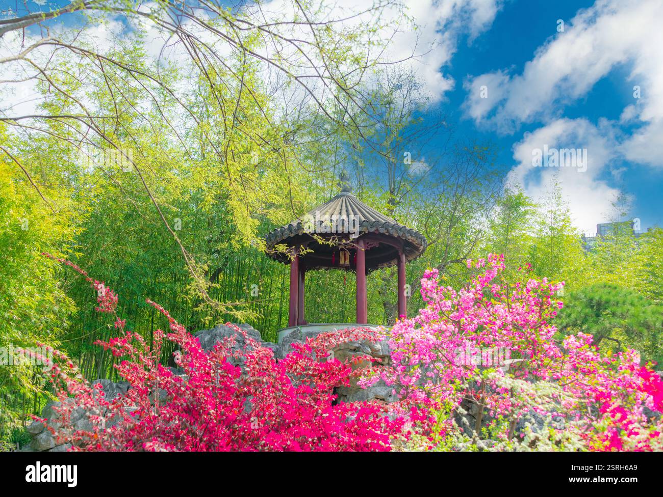 Paysage de jardin classique de Guyi Garden à Shanghai, Chine Banque D'Images
