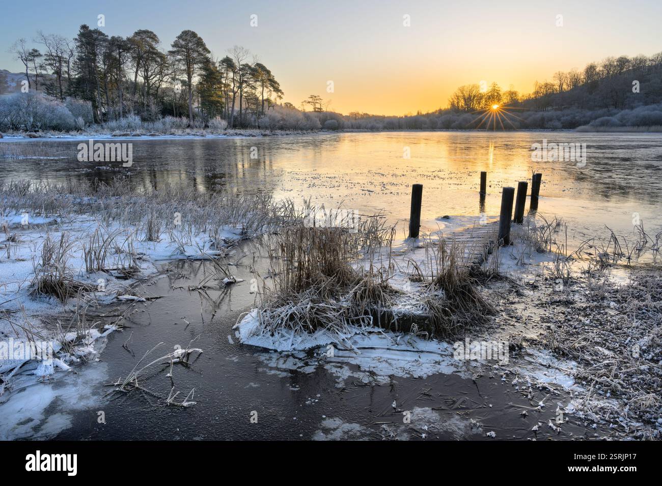 Jetée en bois inondée menant au-dessus d'un petit lac gelé par un matin d'hiver croustillant. Elterwater, Lake District, Royaume-Uni. Banque D'Images