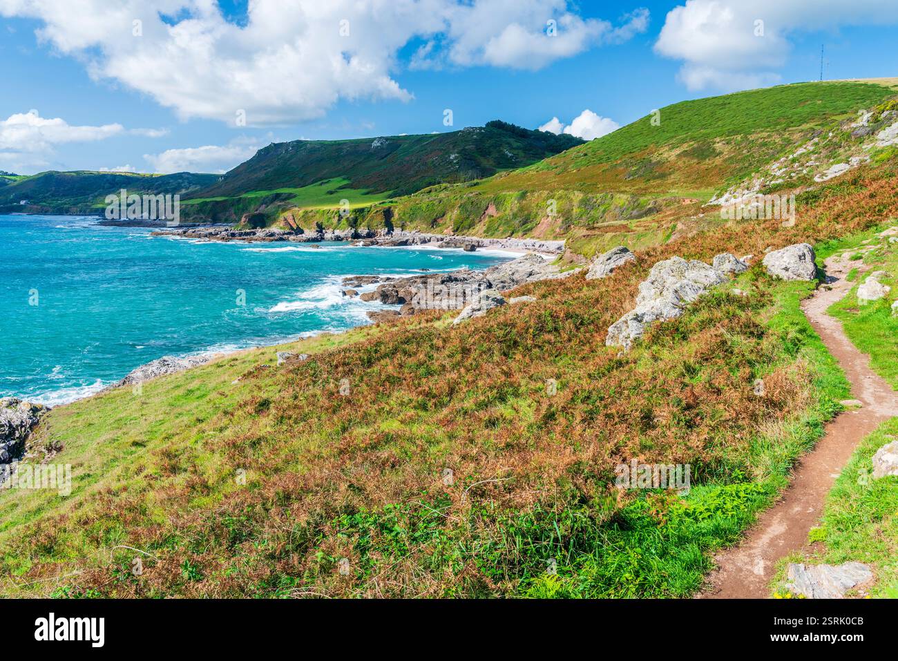 South West Coast Path, Mattiscombe Sands, Devon, Angleterre, Royaume-Uni, Europe Banque D'Images