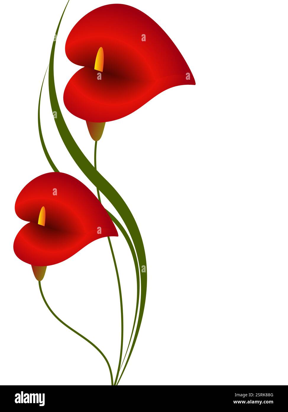 Fond floral avec calla rouge, élément de design. Illustration de Vecteur